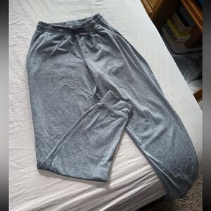 American Eagle Gray Everywhere Jogger Size Small